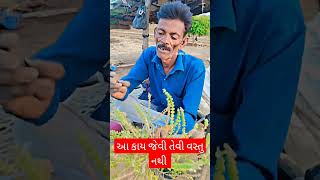 આ કાય જેવી તેવી વસ્તુ નથી માંરા વાલા