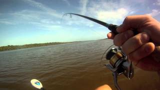 Go Pro Redfish Mosquito Lagoon 2