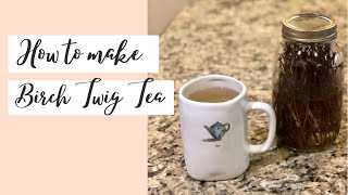 Winter Foraging | DIY Birch Twig Tea #birchtwigtea #herbalism #buddingherbalist