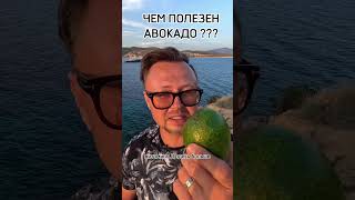 ЧЕМ ПОЛЕЗЕН АВОКАДО? Рыбалко Юрий. #shorts #здоровье