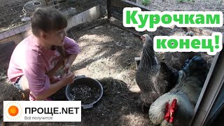 Курочкам пришел конец 🤣🤣🤣  Полина о Брамах