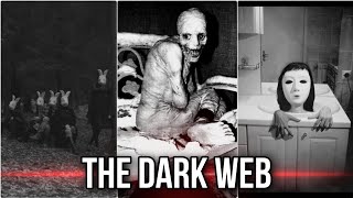 The Dark Side of the Internet: What Lies Beyond the Surface Web? | Dark web.