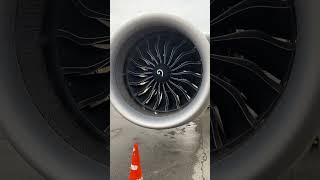 CFM Leap 1A