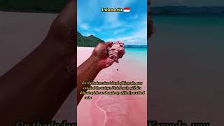 Exploring Komodo's Enchanting Pink Beach | UNESCO World Heritage Site