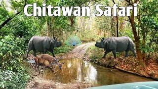 Chitawan Jeep Safari in jungle | Tharu Cultural program shows |