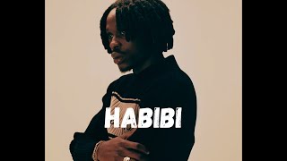 [FREE] Asake x Fireboy Type Beat - Afrobeat | "HABIBI"