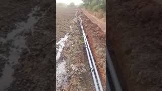 Testing of Drip irrigation system /टपक सिंचाई #shorts