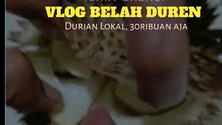 VLOG BELAH DUREN-DURIAN LOKAL 30RIBUAN AJA