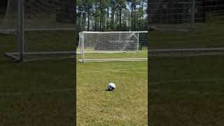 The Perfect Free Kick