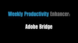 Weekly Productivity Enhancer: Adobe Bridge