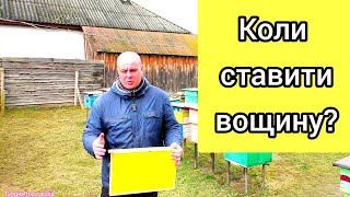 Коли можна починати ставити вощину бджолам? На що потрібно звертати увагу в бджолиній сім'ї?