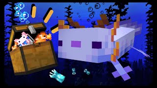 20 Things You Didn't Know About Axolotl in Minecraft