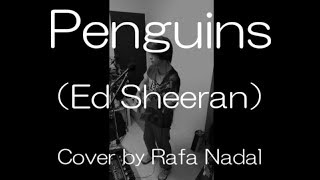 エドシーラン Penguins 弾き語り カバー (Ed Sheeran Cover)