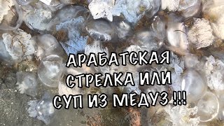 СКОЛЬКО МЕДУЗ НА АРАБАТСКОЙ СТРЕЛКЕ 2019  или Суп из Медуз прогулка под водой 2