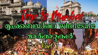 Trip to Mumbai || മുംബയിലെ wholesale മാർക്കറ്റുകൾ #travel #viral #wholesale #shopping