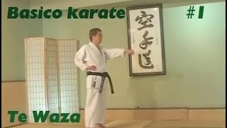 1 -  Basic karate - Tsuki  Puños,Cadera,Tsuki & Gyaku Te Waza