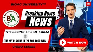 The Secret Life of Soils 2: The Key Players in The Soil Food Web | BioAg University™