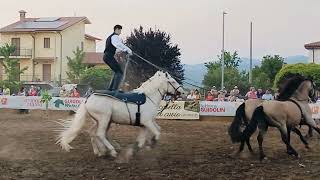 ACROBAZIE🐴IN PIEDI A CAVALLO 🐎