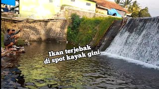 Di Spot Seperti Ini, Ikan Jadi Sasaran Empuk Pemancing