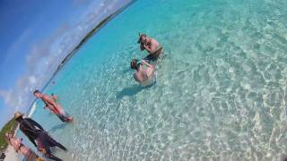 Exuma swimming with sharks and stingrays, Bahamas