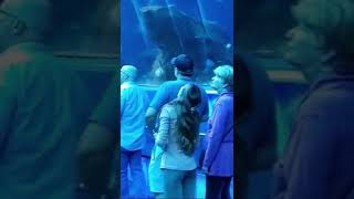 Georgia Aquarium