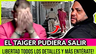 AQUÍ LA VERDADERA CAUSA EL PORQUE EL TAIGER SIGUE DETENIDO Y NO LIBRE!