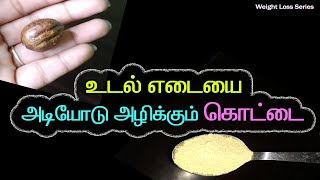 இந்த காயின் பொடி 1 ஸ்பூன் போதும் | சித்தர்களின் வழிகாட்டல் | - கொழுப்பு, மலச்சிக்கல், மாதவிடாய்