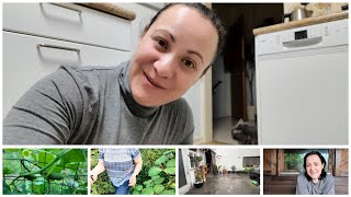 VLOG | Bahçeden kareler 🍀Bu gün yetişemedim 😁#almanyadahayat #vlog