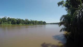 Tortuguero River Timelapse Costa Rica