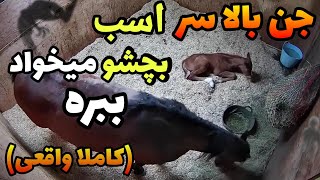 دوربین مدار بسته این ویدیو وحشتناک ضبط کرده جن اومده تو استبل و سواری میگیره❌️🔞 کاملا واقعیه