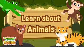 Jungle & Safari Animals Play for Kid's⎢Animals Word Card⎢Animals Sound ⎢KoKoPang