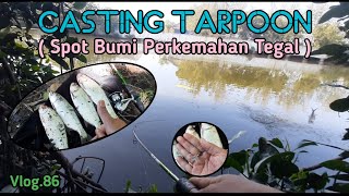 CASTING TARPOON ( Spot Bumi Perkemahan Tegal ) Vlog.86