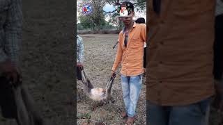 Heavy hail storm🌨️☃️ in Pendra City, Chhattisgarh,  India 2020