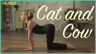 Title: How to do the Cat and Cow Pose (Marjaryasana and Bitilasana) - Beginner-Friendly Tutorial