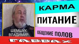 КАРМА, ГАВААХ, ПИТАНИЕ, ОБЩЕНИЕ ПОЛОВ. В.А.Шемшук. #карма#питание #познавательное #любовь #гаввах