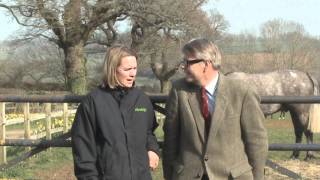 Loraine Homer (Showing) uses Equine Aloeride® the aloe vera for valued horses