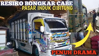 BONGKAR CABE DI PASAR INDUK CIBITUNG