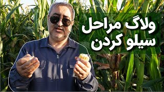 Fodder ensiling steps vlog  ولاگ مراحل سیلو کردن علوفه