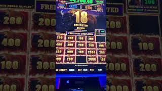 Nice bonus round win on Buffalo Cash Slot Machine