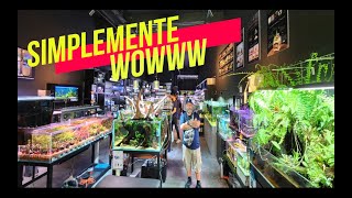 IMPRESIONANTE TIENDA DE ACUARIOS EN MALASIA😍🌿☘