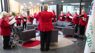 Plymouth Rockers at Plymouth City Hall