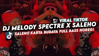 DJ MELODY SPECTRE X SALEHO VIRAL TIKTOK TERBARU 2024 BASS HOREG !