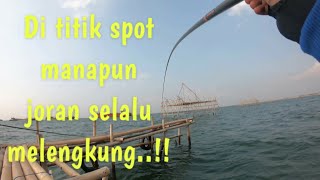 Nikmatnya Mancing Baronang Disaat Ikanya Berkumpul//mancing baronang//rabbitfish//rabbitfish fishing