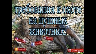 Требования к охоте на пушных животных.