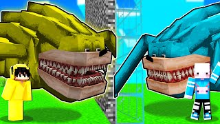 GOLDEN SHIN SONIC VS ELMAS SHIN SONIC! | Minecraft