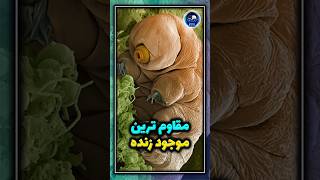 مقاوم ترین موجود زنده