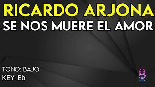 Ricardo Arjona - Se Nos Muere El Amor - Karaoke Instrumental - Bajo