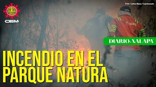 Fuego en el Parque Natura; lo que sabemos de este incendio en Xalapa