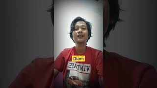 lebih baik diam