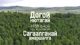 Сагаалган-2024 Догой 1988 Луу жэлтэн